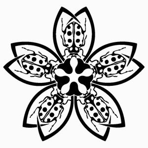 Meet your Posher, Julia bell,